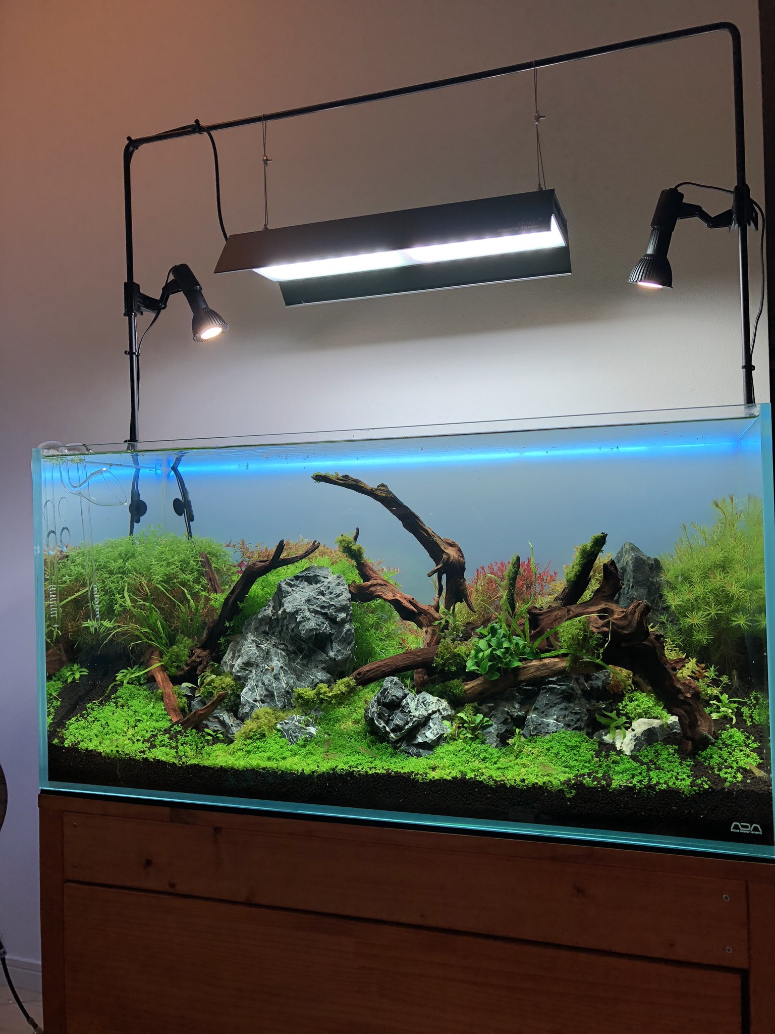 ADA ソーラーⅠ☆アクアデザイン アマノ☆メタルハライドランプ☆水草