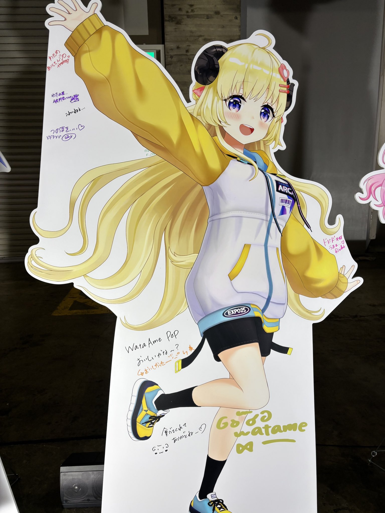 ホロカ 角巻わため SEC サイン ホロカ 角巻わため OUR ホロカ】わため