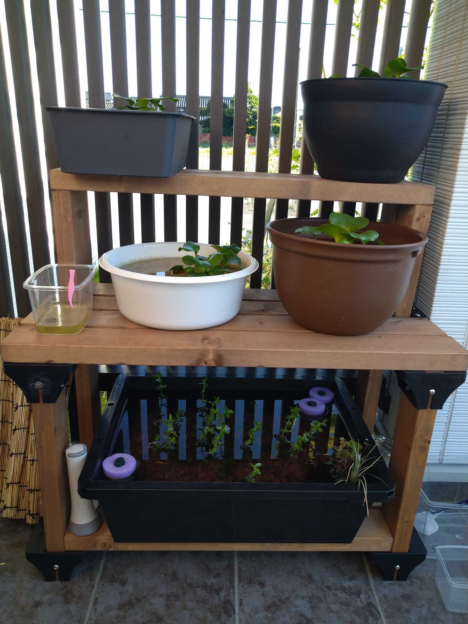 メダカラック めだか棚 ご希望サイズでお作り致します！ めだか メダカ