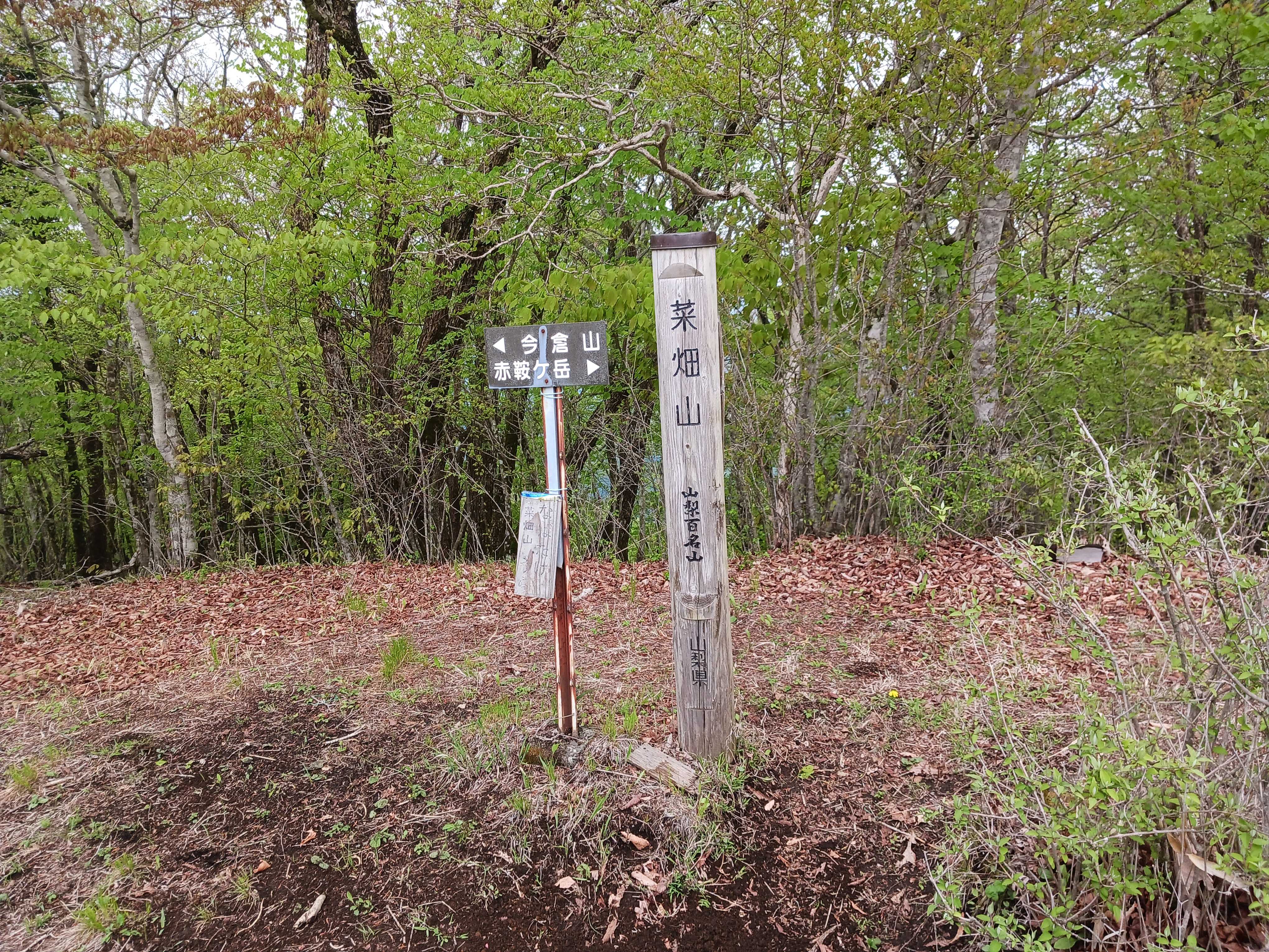 山高登 版画「菜畑」シリアルナンバー 59/200 山高登 版画「菜畑