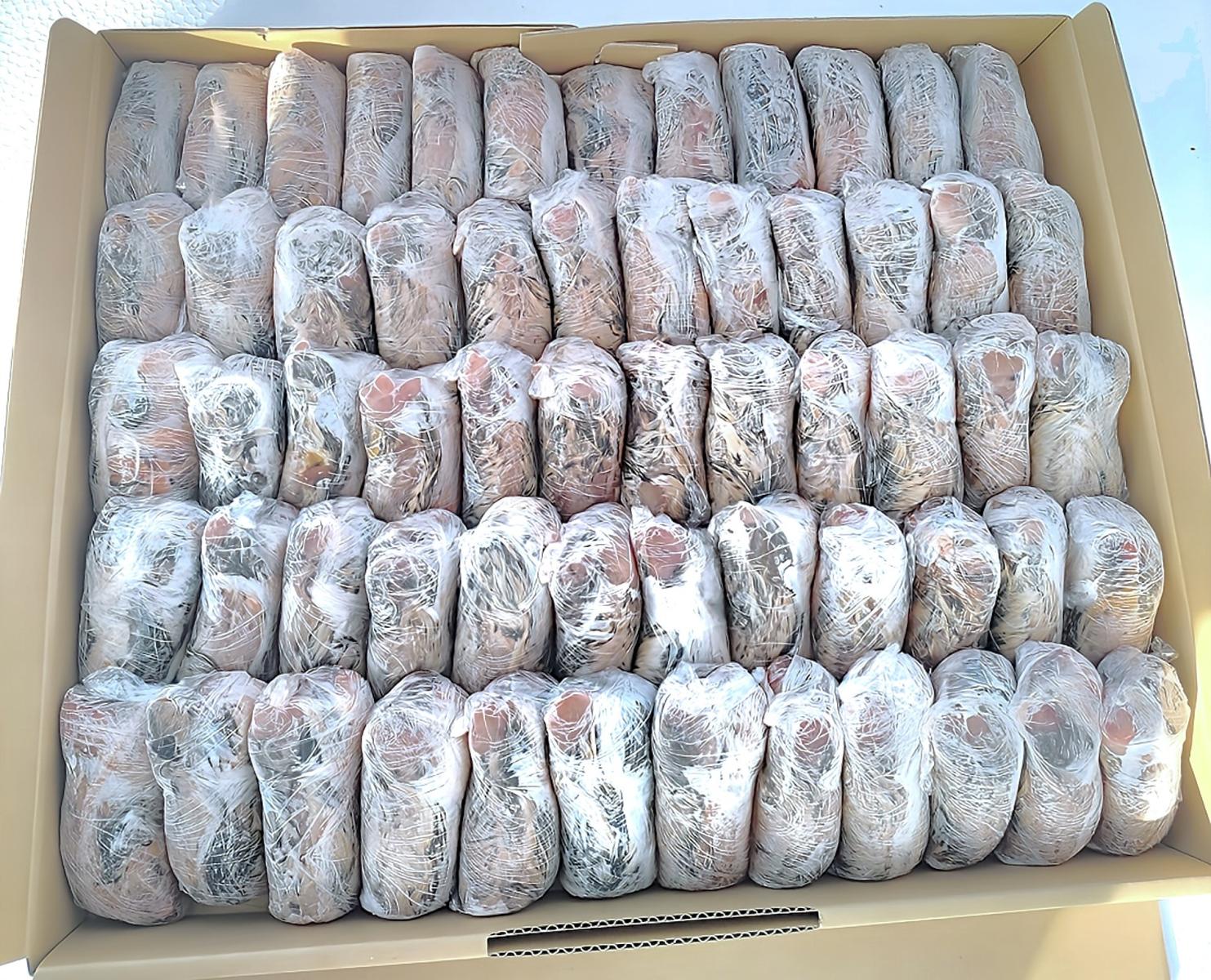 冷凍ウズラ5kg×6段【送料込】 冷凍ウズラ5kg×6段【送料込】