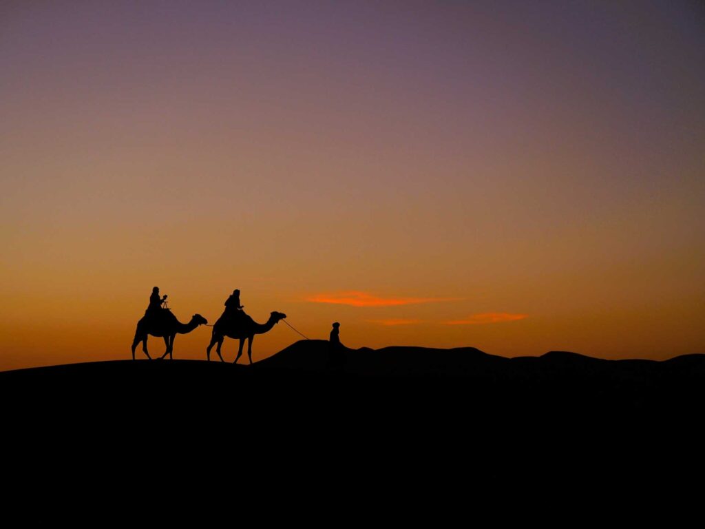 ラクダモロッコツアー | モロッコ専門ツアー会社。日本語対応ガイド