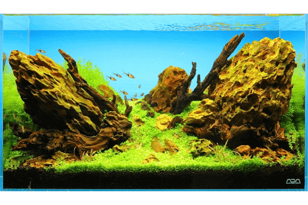 水槽レイアウトにおすすめの石17種類の名前と水質変化表