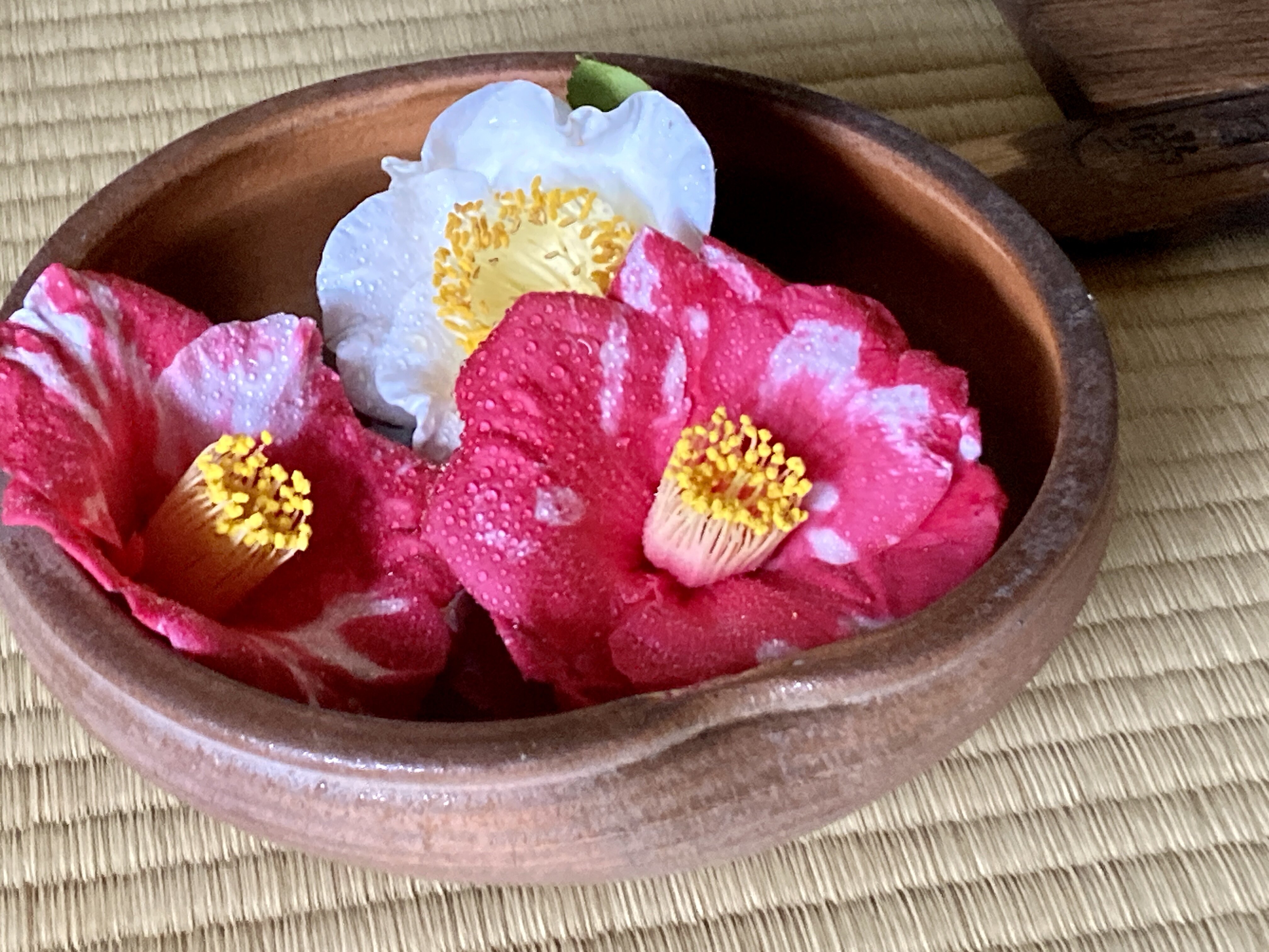 煎茶道具 結界 与平／画 材/桐 紅木