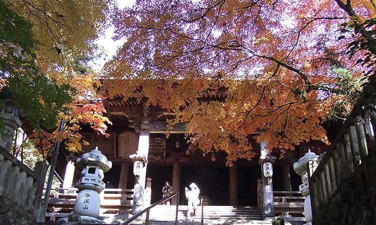 第三十三番 華厳寺 : 西国三十三所