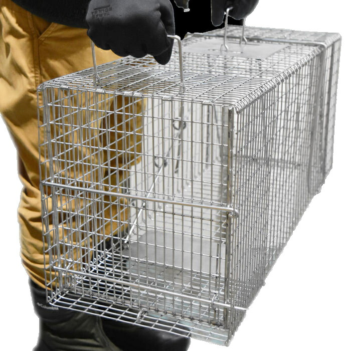 楽天市場】アニマルトラップ MODEL1079セイフティ 中型動物用箱わな