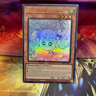 マルチャミーフワロス 6枚 マルチャミーフワロス【R】〈ROTA-JP024