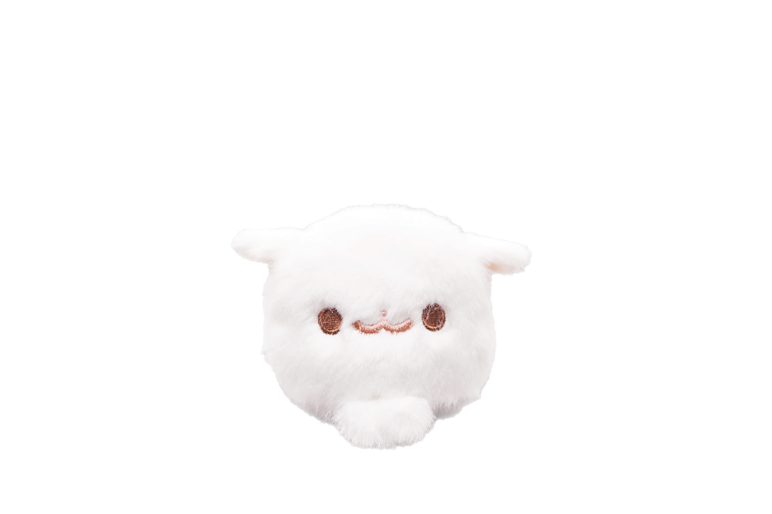 人気リターンのご紹介】ー「しらたま」ぬいぐるみ化プロジェクトー