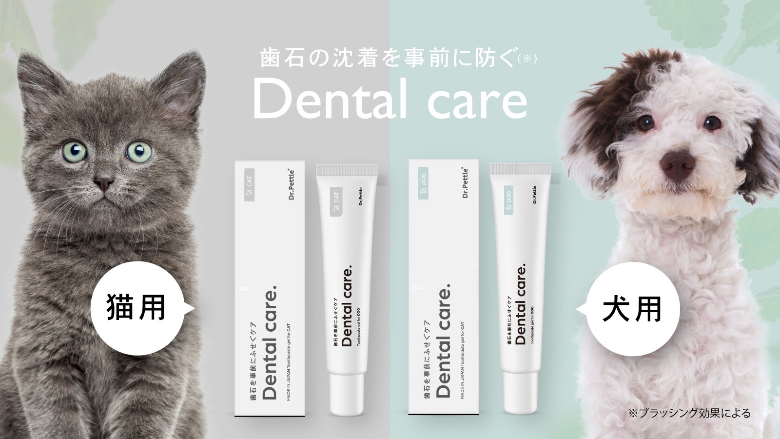 ドクターワンデル 2本 ドクターデンタルワン デンタルワン ワンデル 2