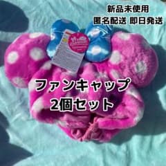 即日発送】ディズニー パルパルーザ ミニーのファンダーランド ファン