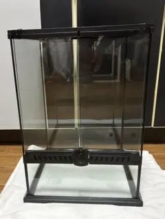 2026年最新】レインフォレストタンクの人気アイテム - メルカリ