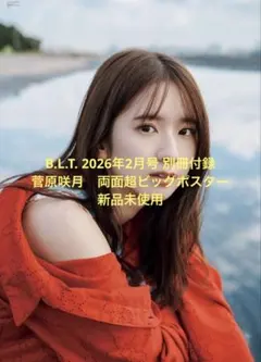 2026年最新】B.L.T 菅原咲月の人気アイテム - メルカリ