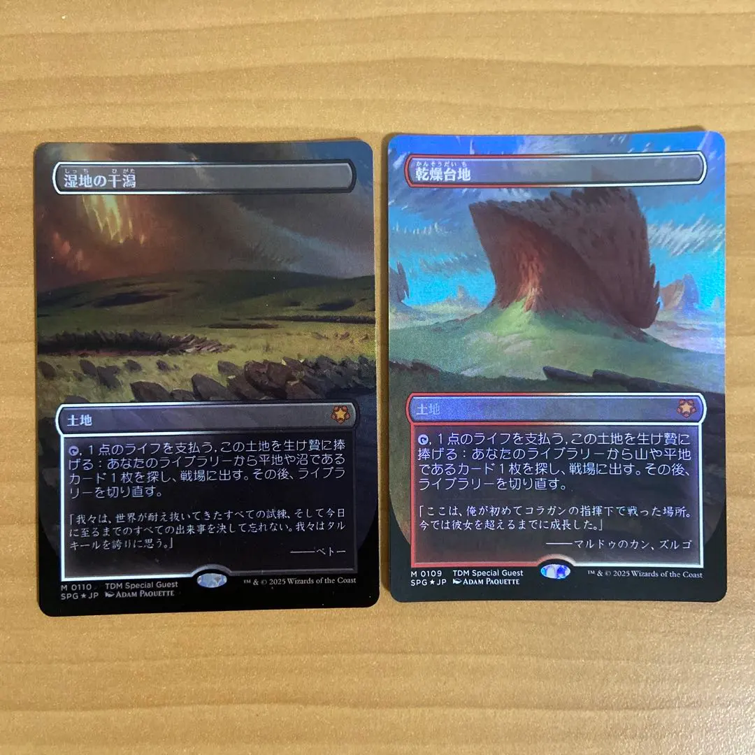 2026年最新】湿地の干潟 foilの人気アイテム - メルカリ