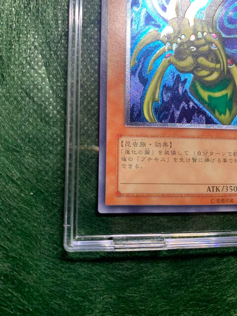 katsu-curry　希少　究極完全態グレートモスレリーフ仕様