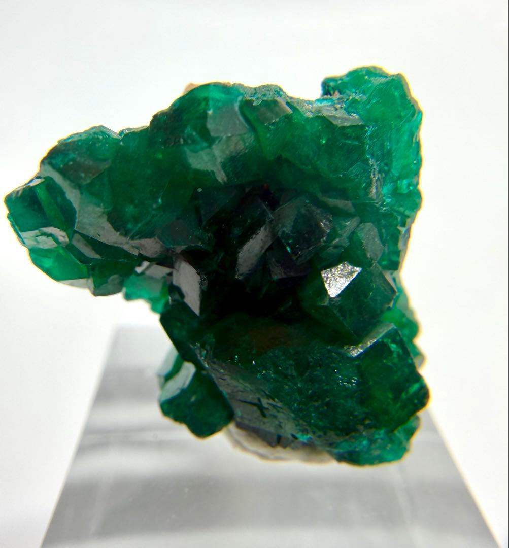 ダイオプテーズ 翠銅鉱 母岩付き 天然石 原石 鉱物 標本 53g】コンゴ産