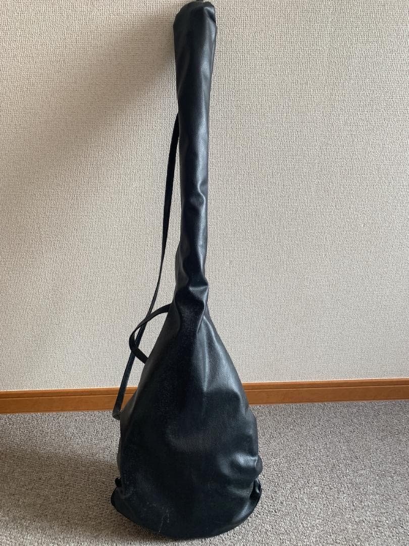 カザフスタン伝統弦楽器 ドンブラ / 民族楽器 / ケース付 / 中古美品