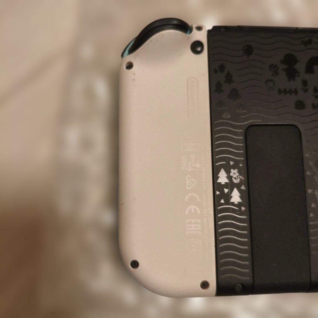 Nintendo Switch あつまれどうぶつの森エディション　おまけ付き