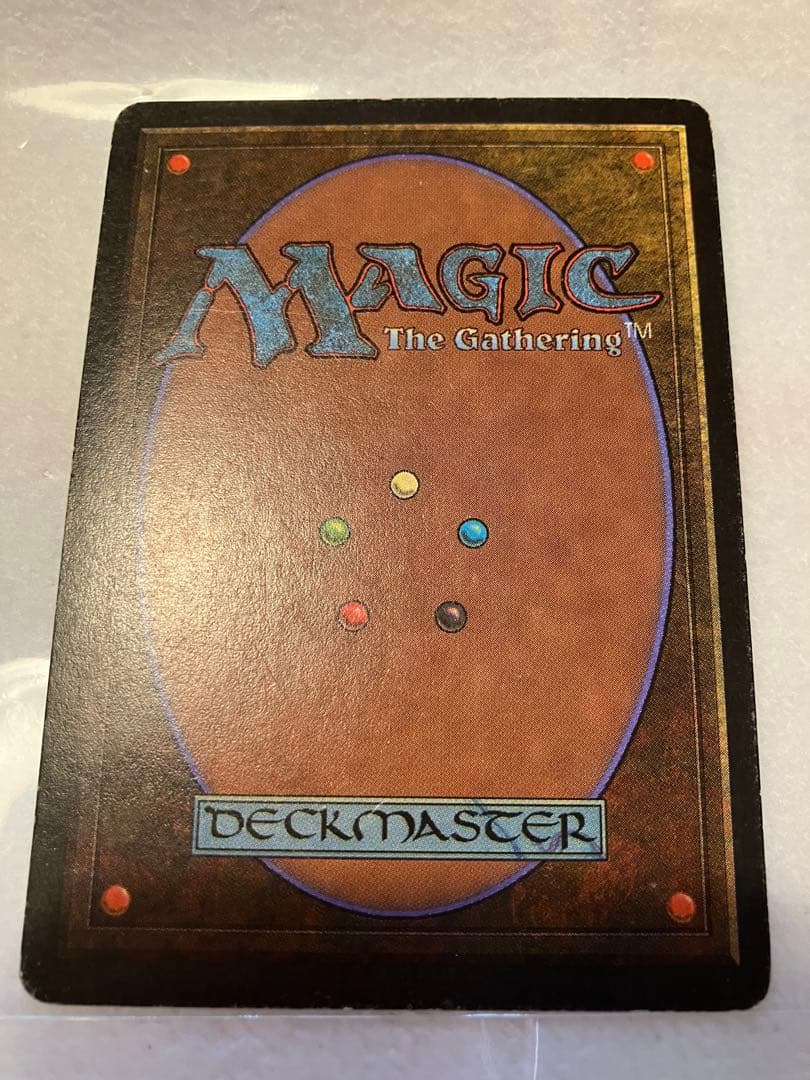 マジック:ザ・ギャザリング MTG Taiga