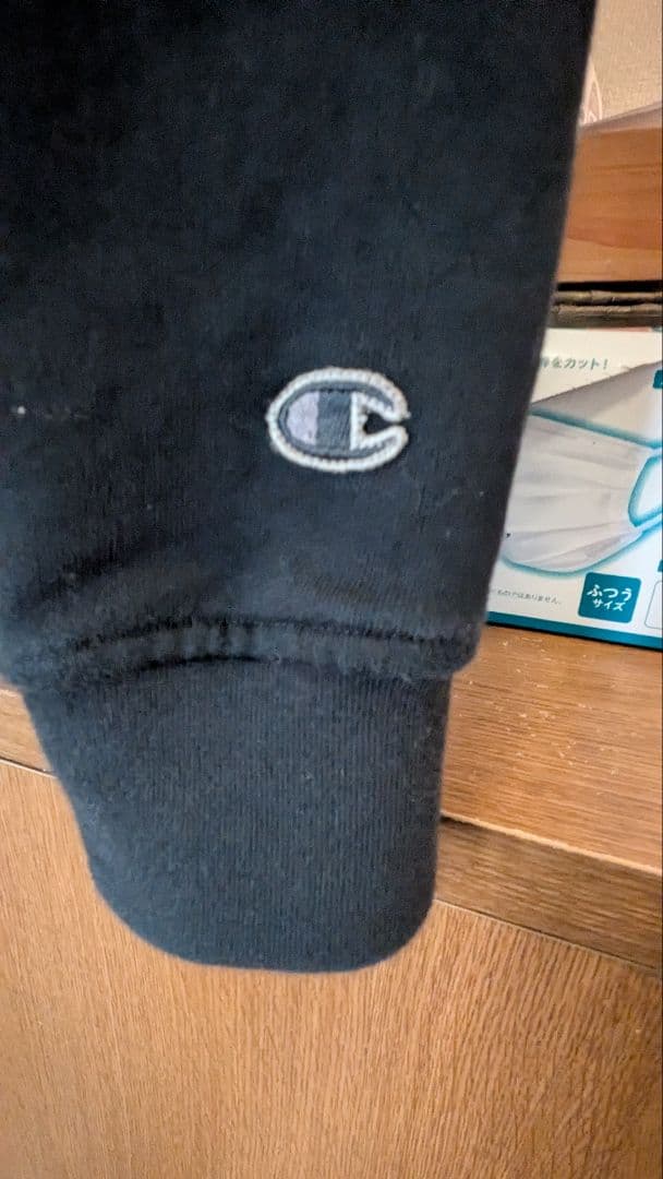 Rick Owens チャンピオン　jason hoodie フルジップパーカー