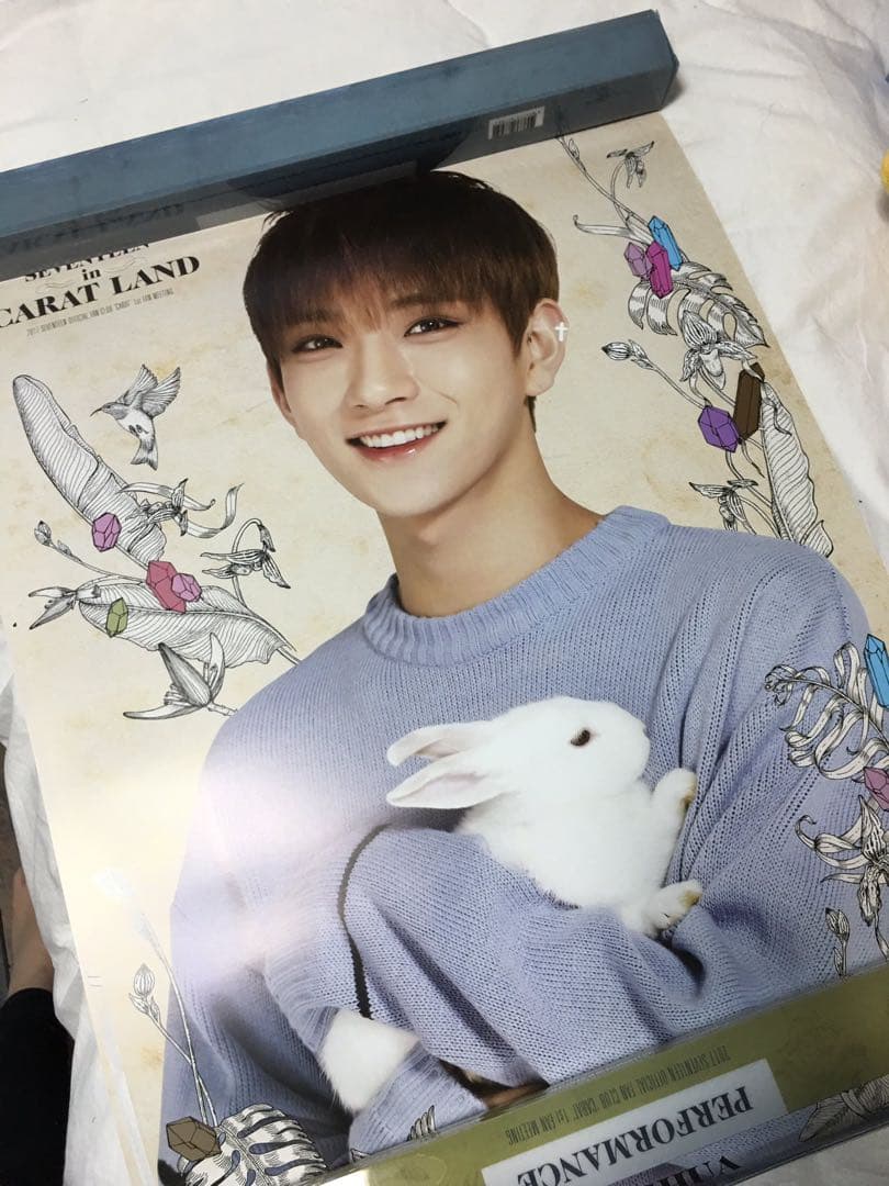 SEVENTEEN 2017 ペンミ ボカチ ポスターセット - アイドルヴィンテージ