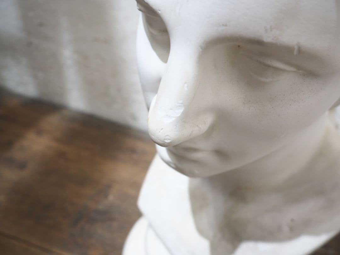 1228 石膏像 ミロのヴィーナス 胸像 オブジェ デッサン 美術 インテリア