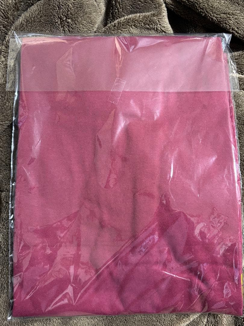 スチャダラパー チャンピオンカーニバル　 シャツＸＬ　電気グルーヴ