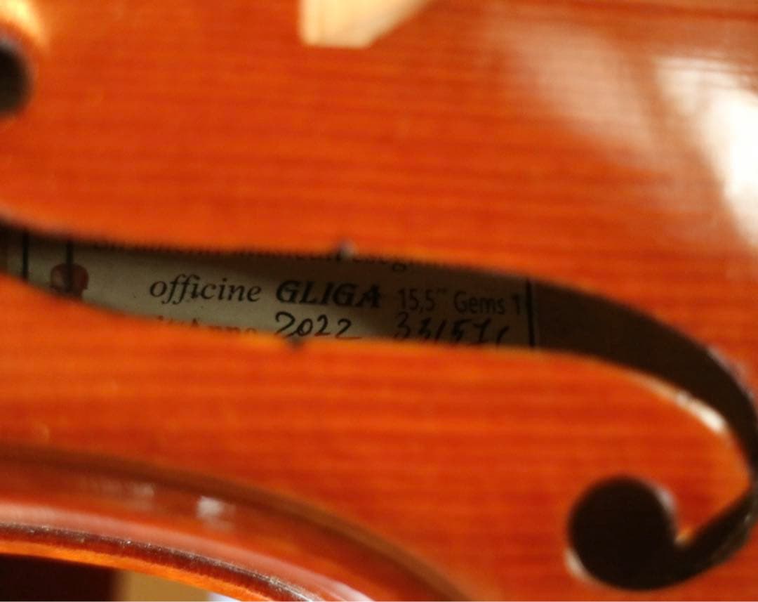 【みみちゃん】ビオラ 15.5 Gliga Gems Anno 2022