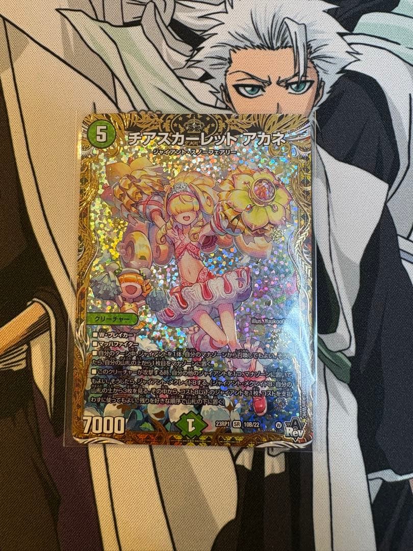 チアスカーレットアカネ 2枚 チアスカーレット アカネ 2枚 - メルカリ