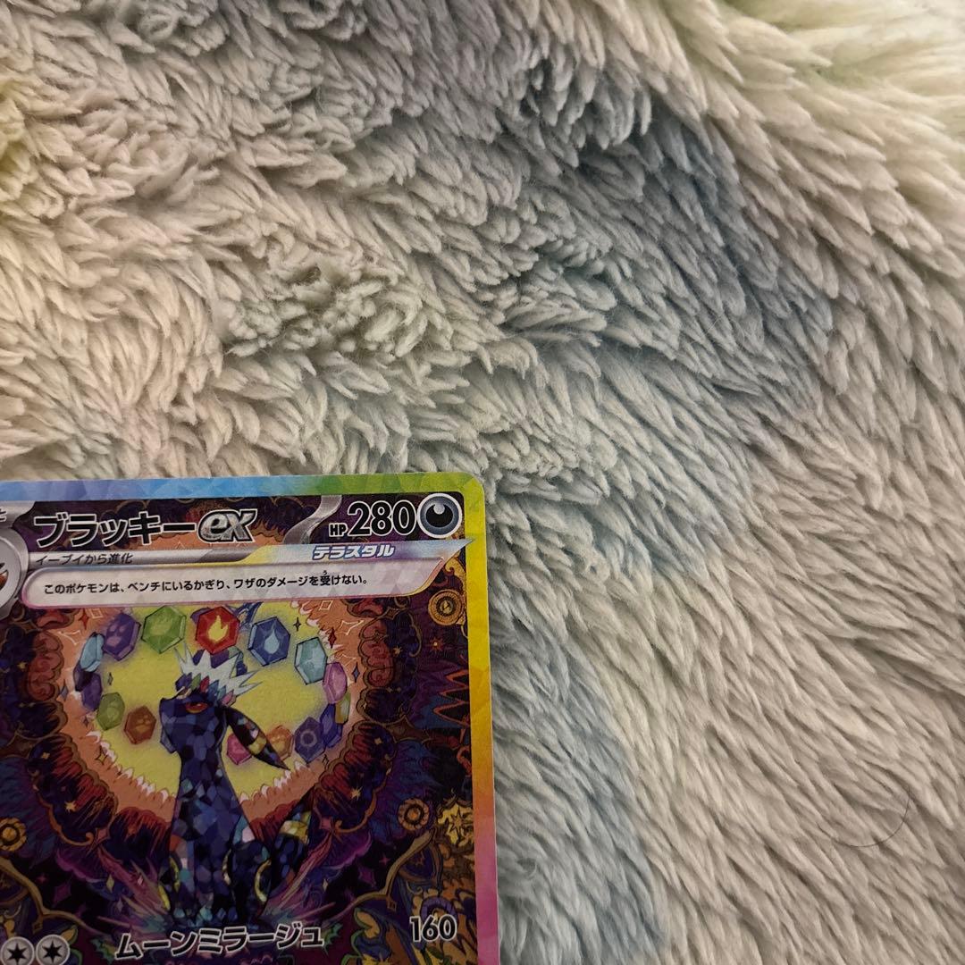 ブイズ　sar 　セット