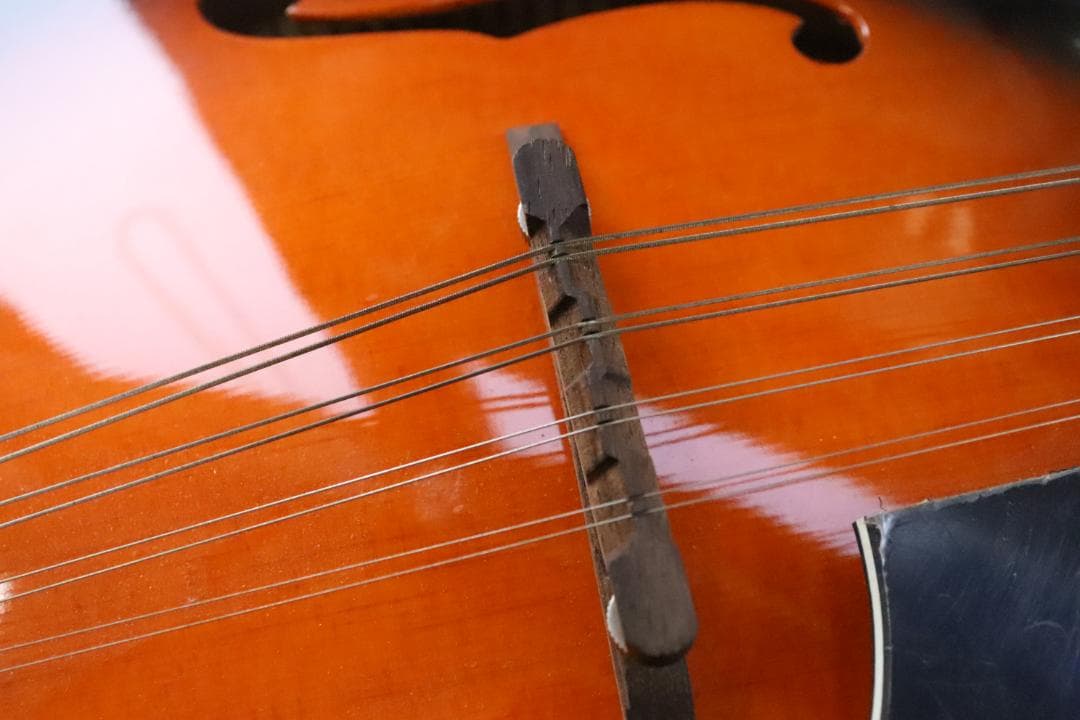 ■アリア マンドリン MANDOLIN ARIA AM-20 弦楽器