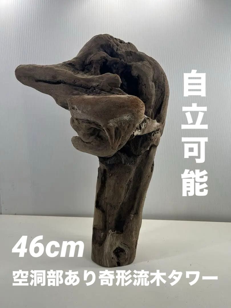 W31アク抜き済み流木 爬虫類シェルター 登り木 インテリア 生け花