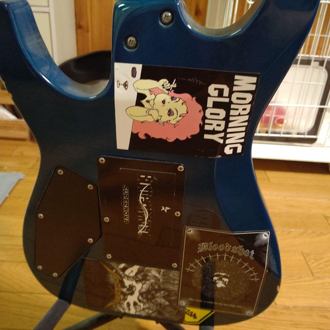 Grass Roots ギター 青 Seymour Duncan