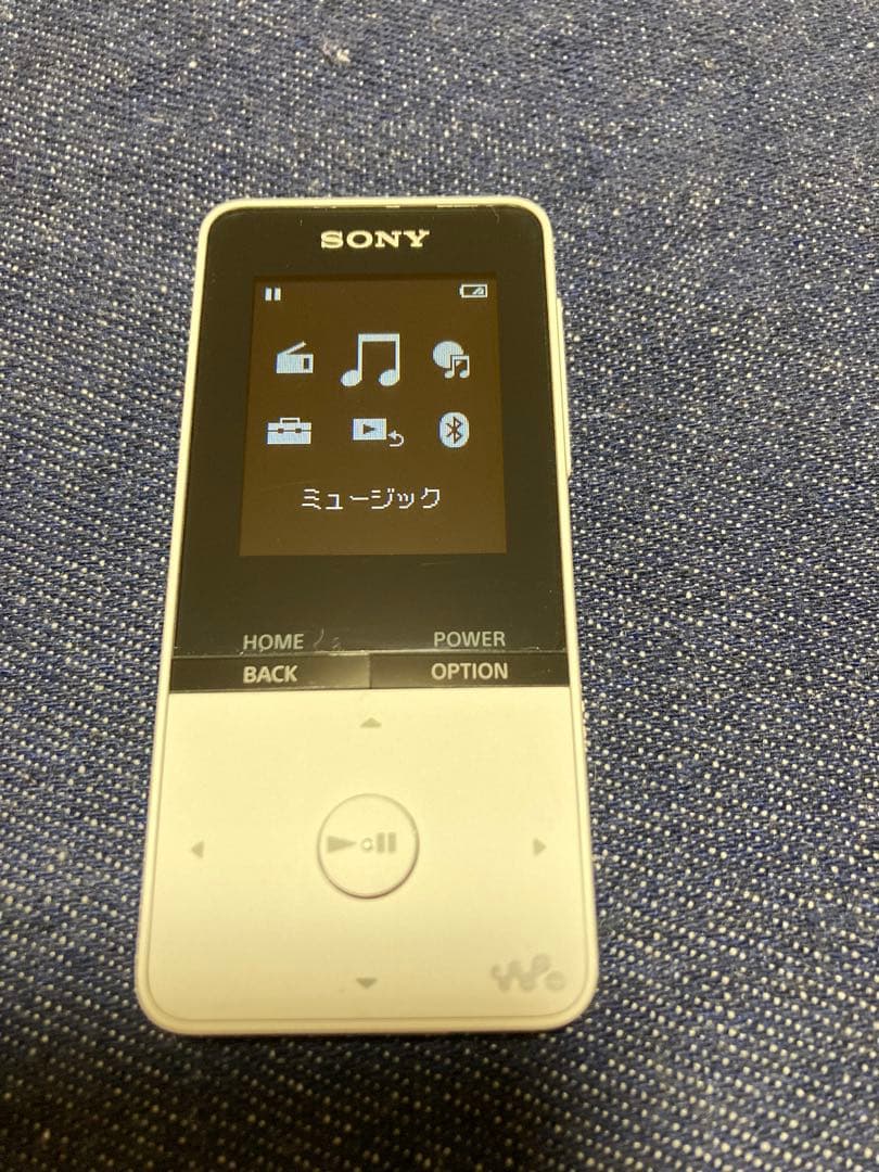 バッテリー絶好調！外観極美品 SONY NW-A25 WALKMAN 16GB 良品