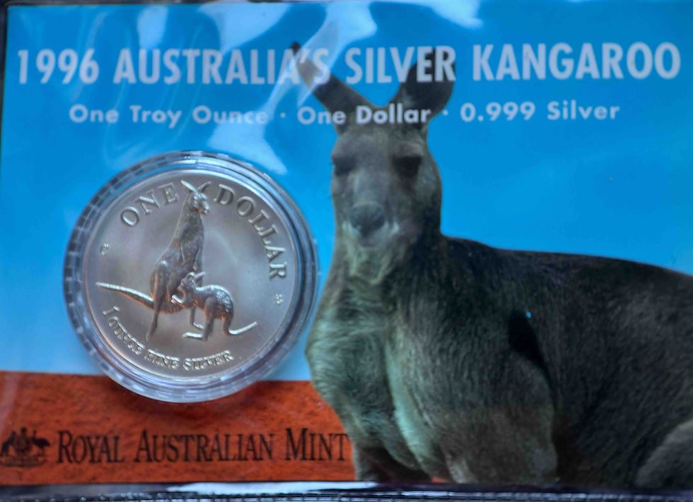 1922年 アメリカ合衆国 銀貨 ピースドル | GoldSilverJapan