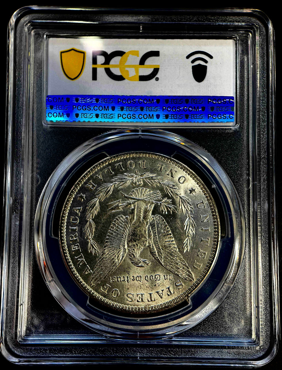 アメリカ 1880 S ドル 銀貨 NGC MS64 モルガンダラー 036 アメリカ