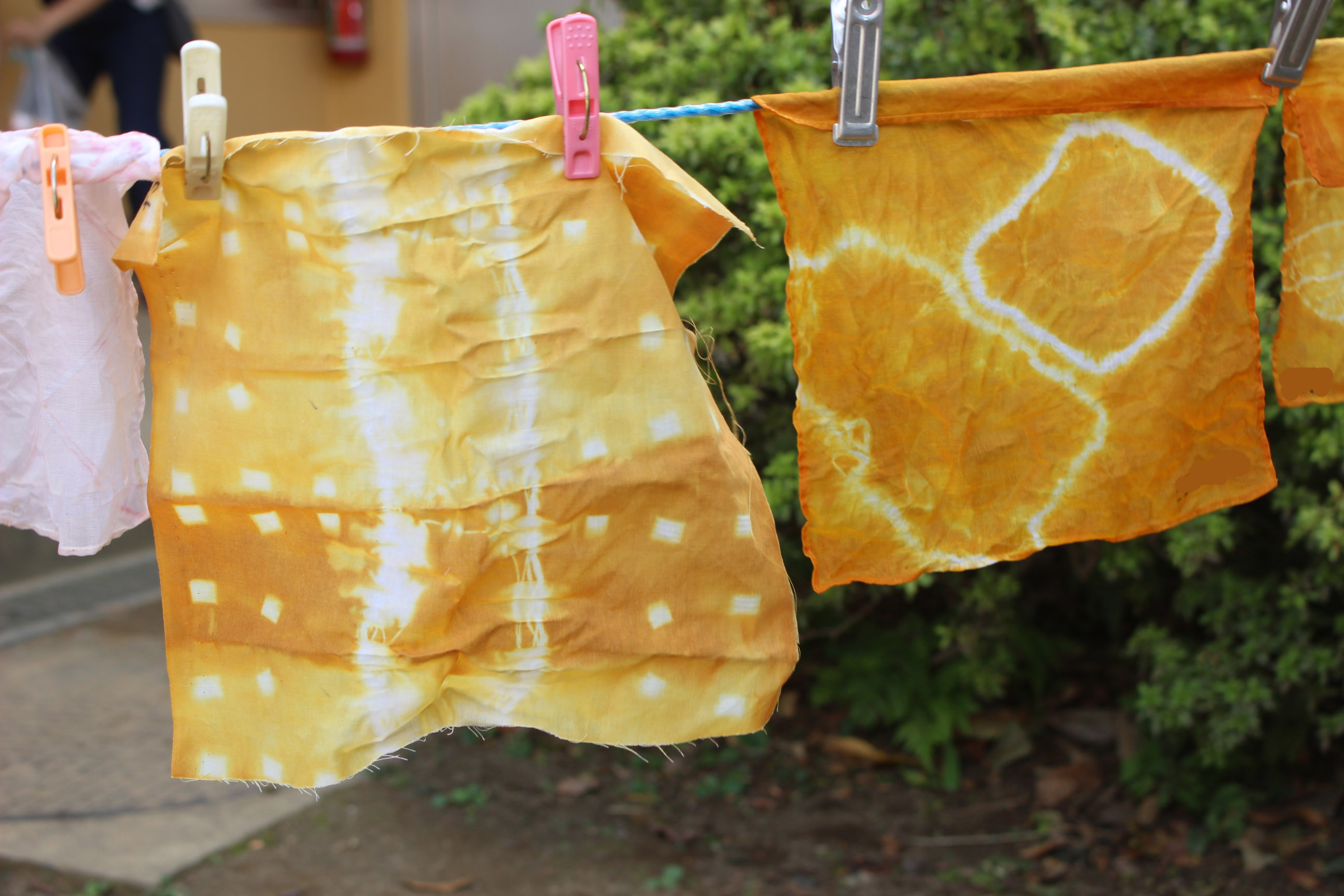 草木染体験 | 館山野鳥の森