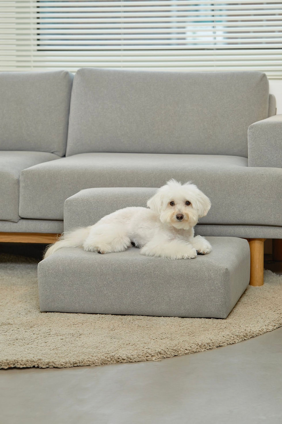 ペットステップ ドッグステップ ペット用 踏み台 高齢犬 ステップ