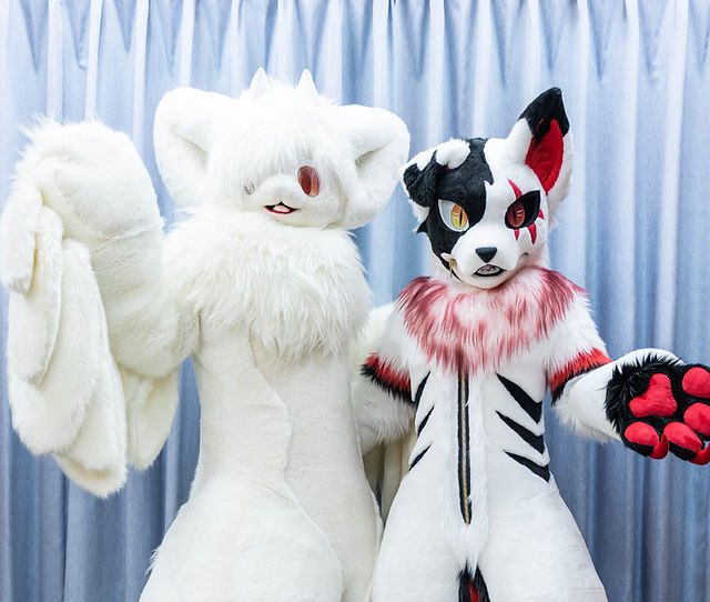 ホーム | KemonoMix