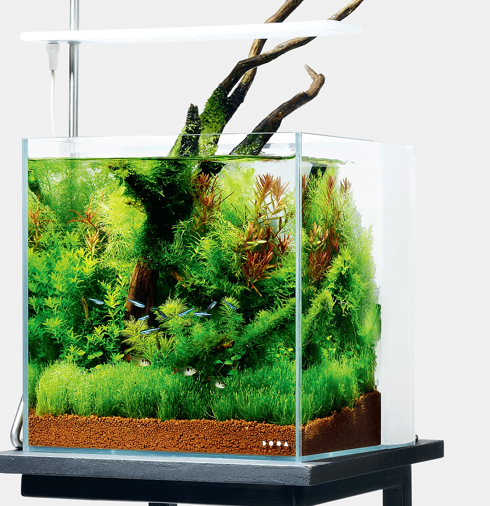 DOOAライト ソルスタンドRGB 30cm ADA LAB SOL STAND RGB | PRODUCTS