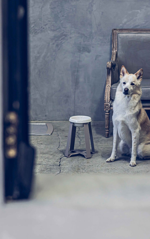 pecolo Pet Bed ペコロ ペットベッド 犬用 ベッド ドッグベッド pecolo