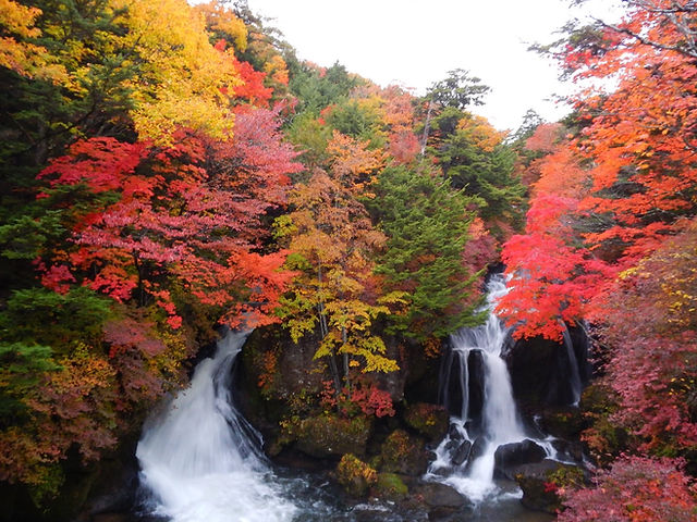 超絶景 栃木県日光市 ☆龍頭の滝の紅葉☆作品パネル1点物 超絶景 栃木