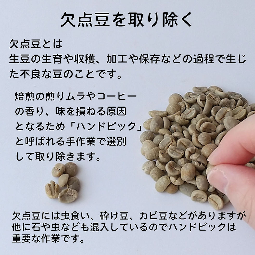 楽天市場】モカ 生豆 10kgの通販 【コーヒー生豆】モカ シダモ