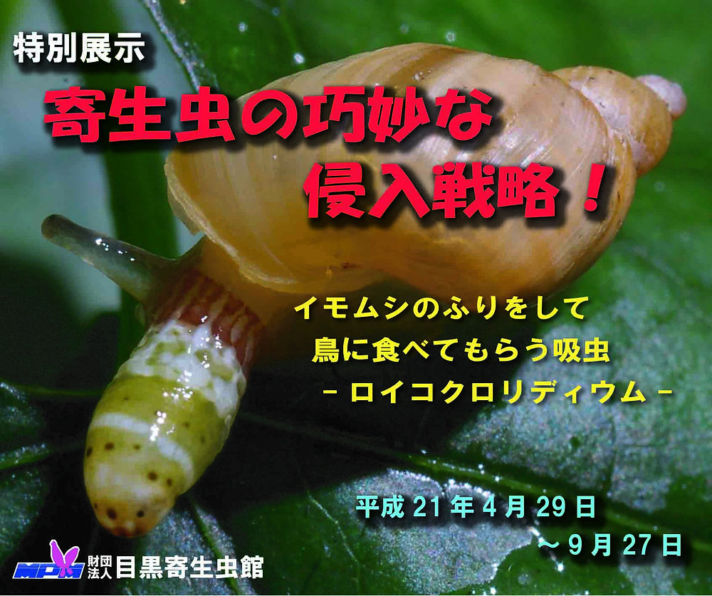 079dcd_1cab4568e5744584922fd51