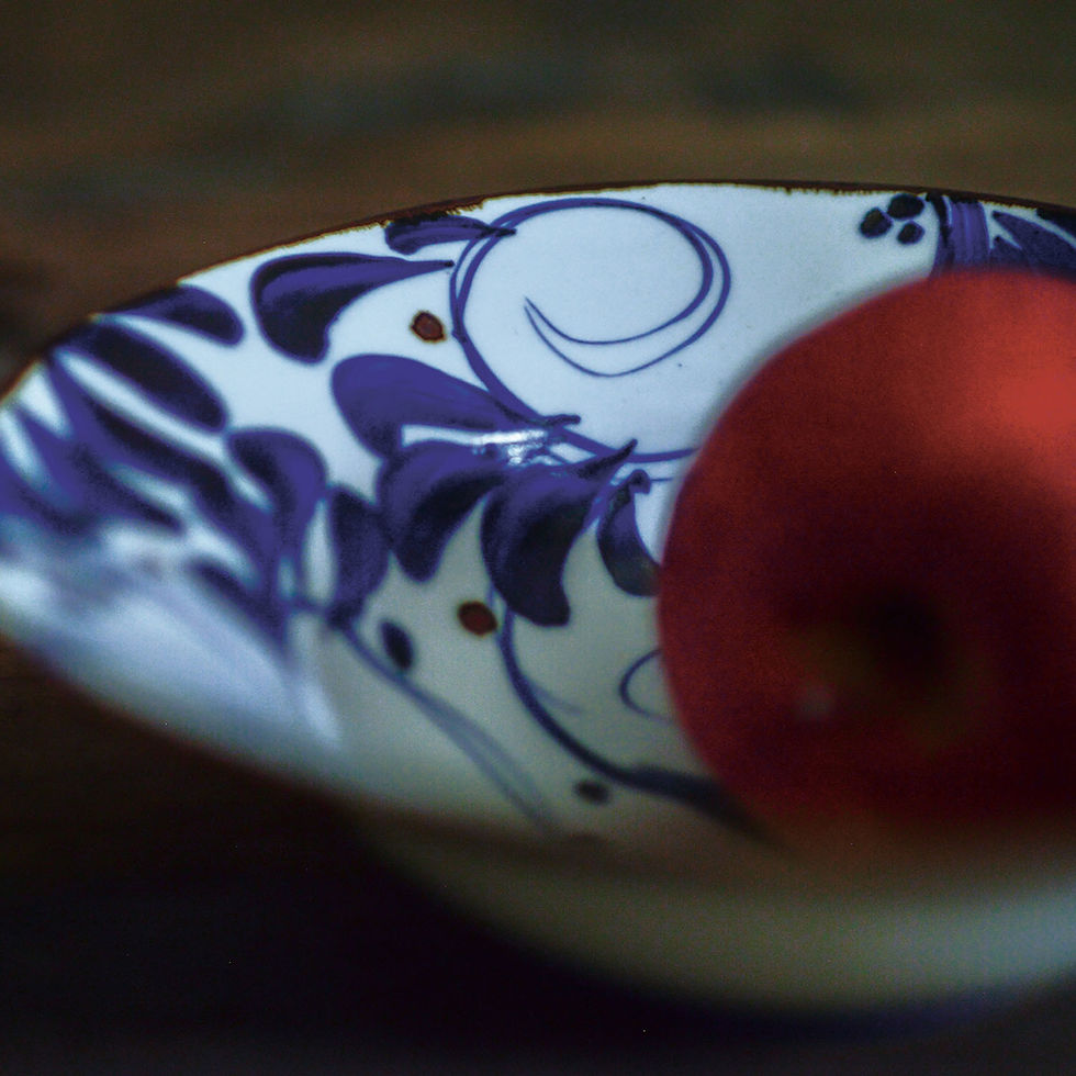 SAIKAI EDITION｜SAIKAI