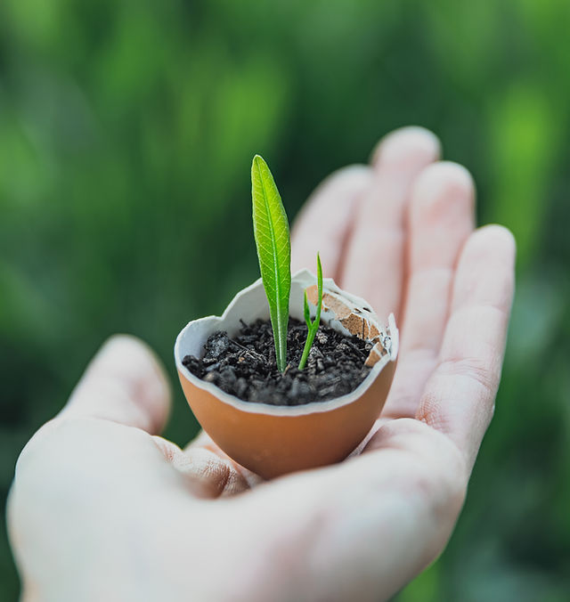 ポイ太くん | PHOENIX EINZEL