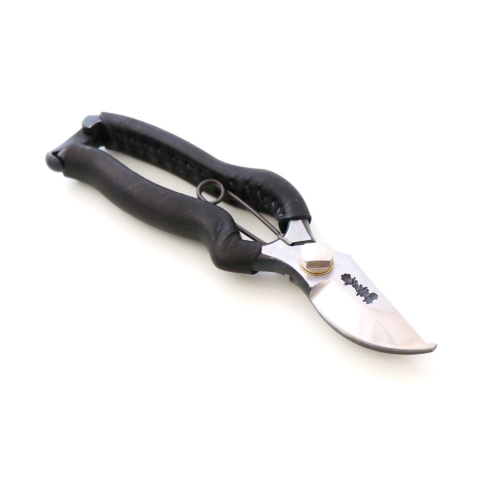 122505_70ae470059da4f34810b3d8