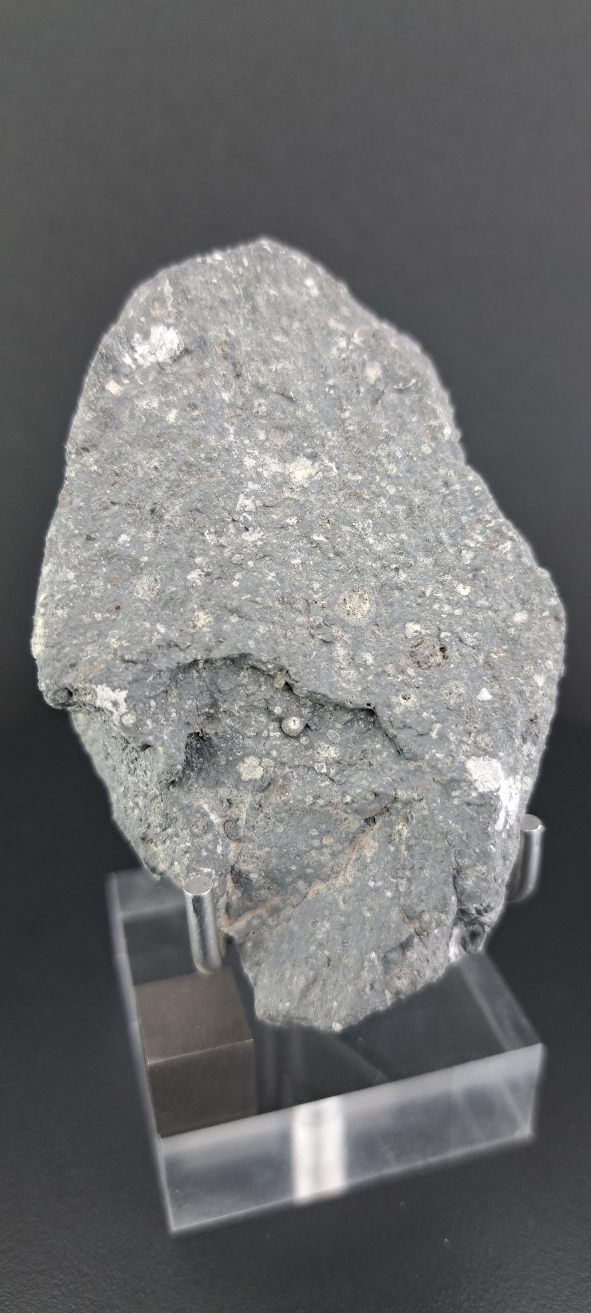 1461ad_d81fddf2794347f59accc1b