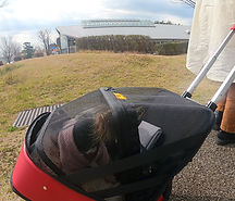 5WAYSセーフティ－ケージ ｜ ペットキャリー専用ケージ│セーフティケージ