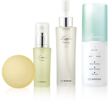 モイステーヌ IV 美顔器 モイスティーヌIV 美顔器 コットン セット