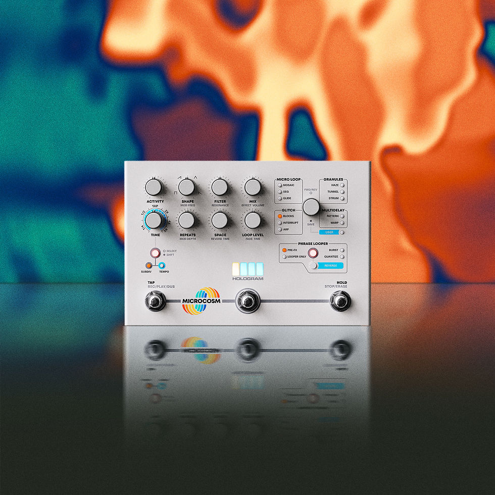 Hologram Microcosm エフェクター リバーブ ルーパー ディレイ